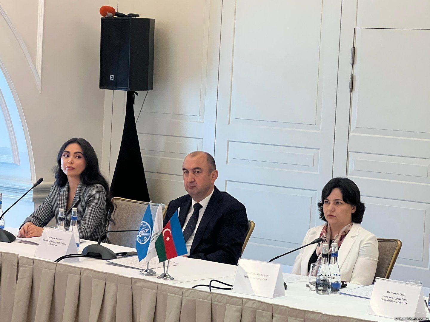 Azerbaijan commits to climate goals and green future as COP29 highlights environmental efforts