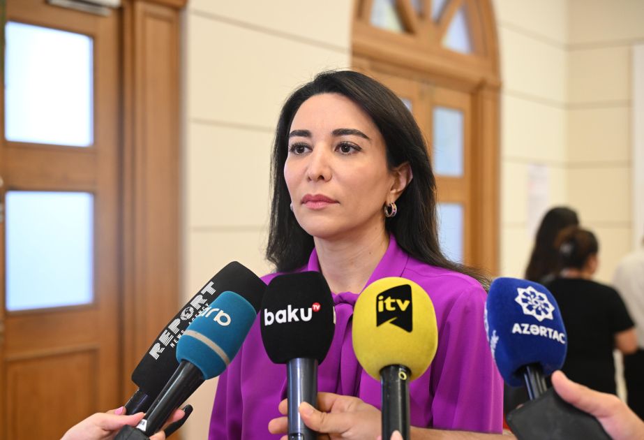 Ombudsman: First parliamentary elections are being held in all territories of Azerbaijan