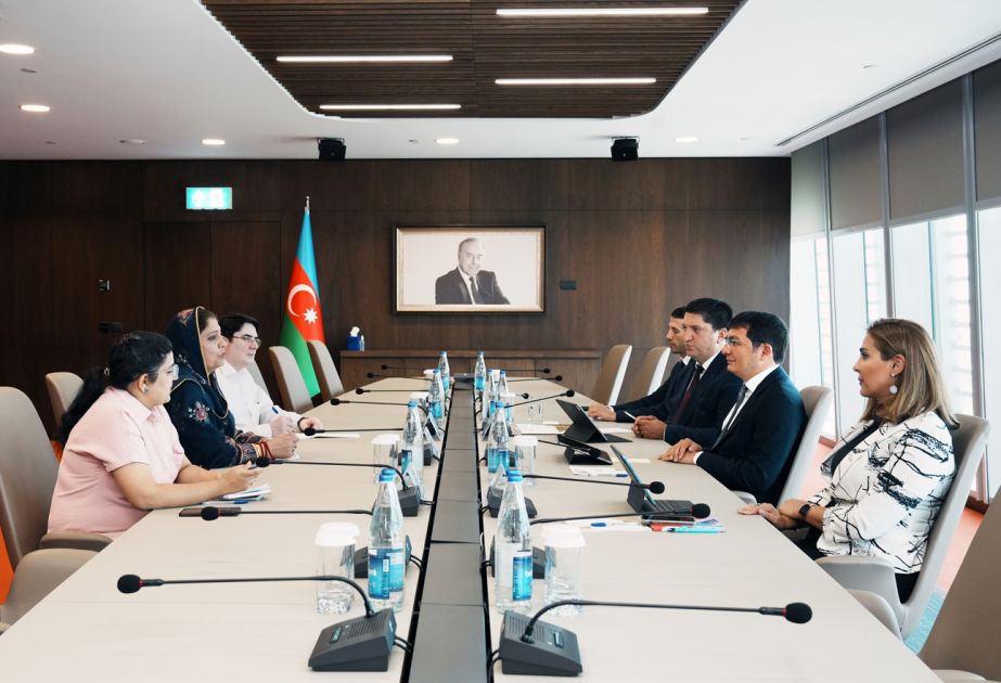 COP29 in Azerbaijan highlights commitment to 'Green Economy' development