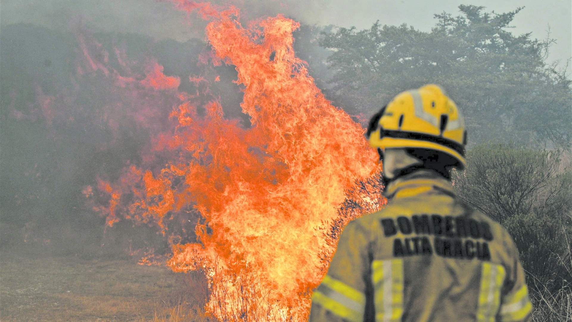 Bolivia declares nationwide state of emergency due to forest fires