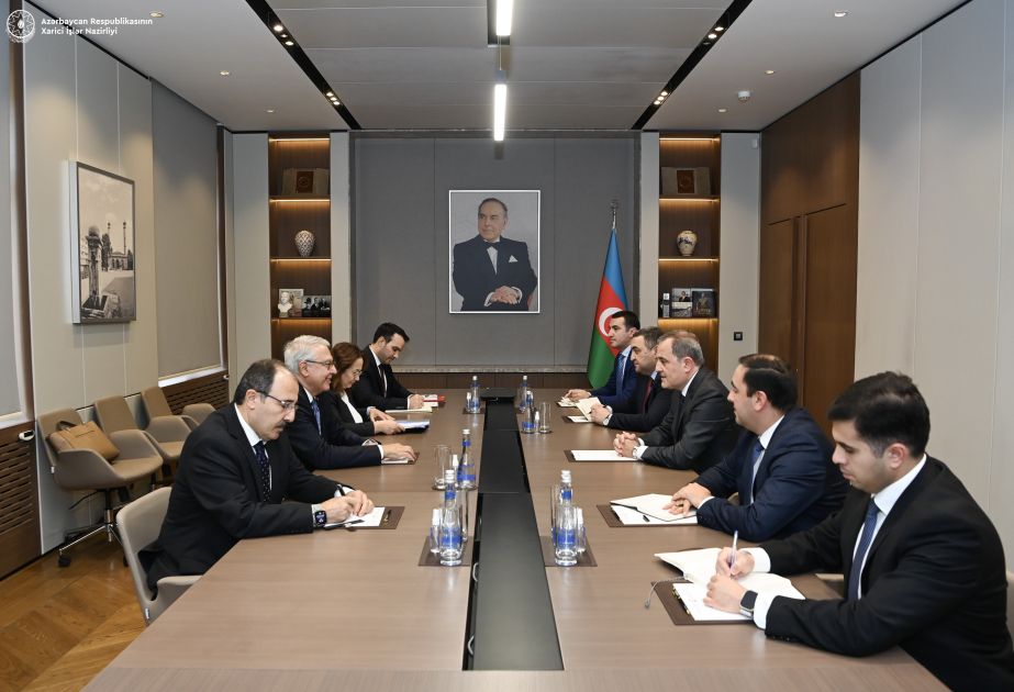 Azerbaijani FM and Türkiye-Armenia Special Representative discuss regional issues