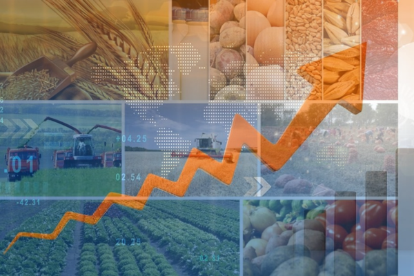 Steady growth in Azerbaijan's agricultural sector: Implications for future development