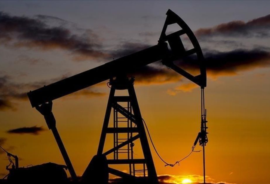 Oil prices show rise in global market