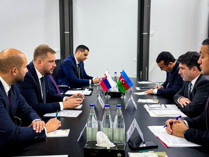 Azerbaijan, Slovakia strengthen energy cooperation in ministerial discussions