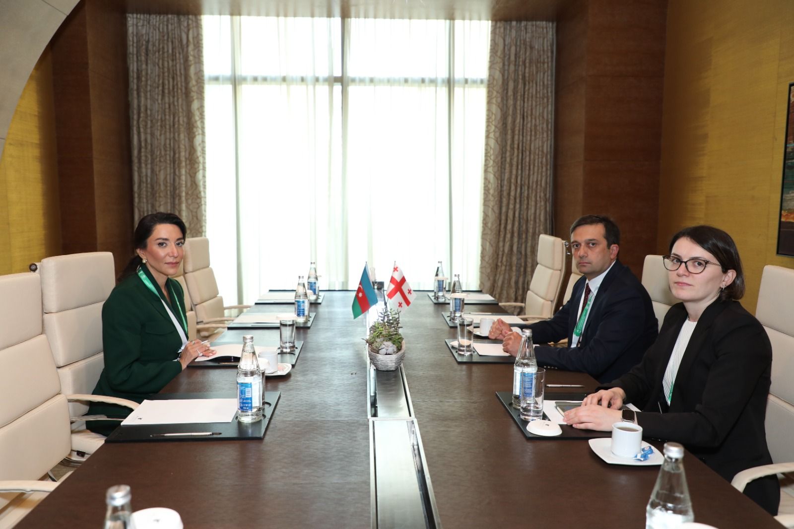 Azerbaijani Ombudsman holds meeting with Public Defender of Georgia