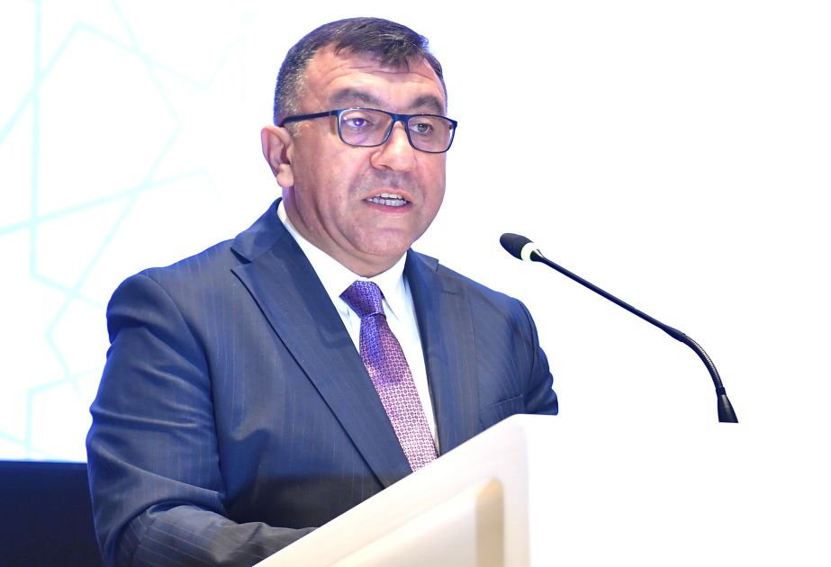 DM Samad Bashirli highlights Azerbaijan's approach to economic challenges at forum