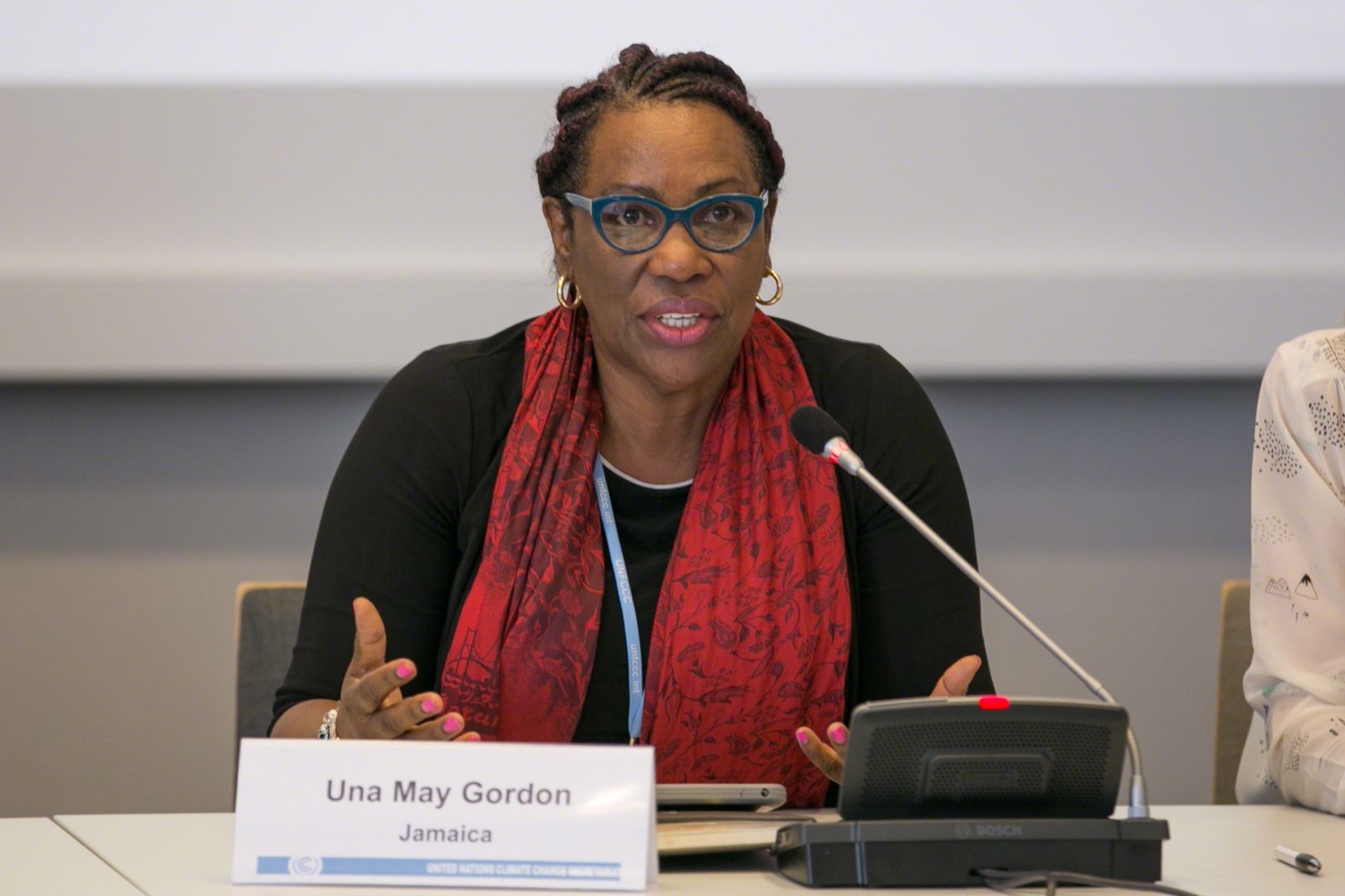 International community urge to prioritize climate finance, says Una May Gordon