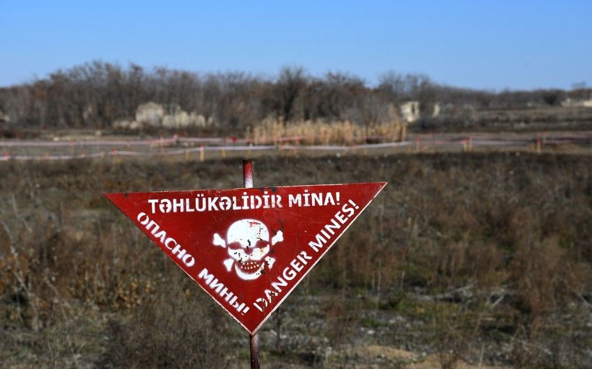 ANAMA's weekly report: 1,198 hectares cleared of mines in liberated territories