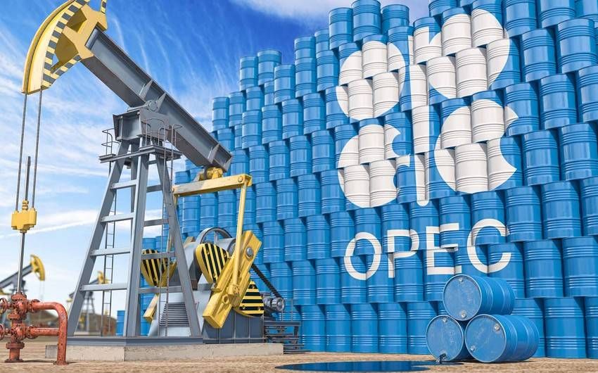 OPEC lowers global oil demand forecast for upcoming year