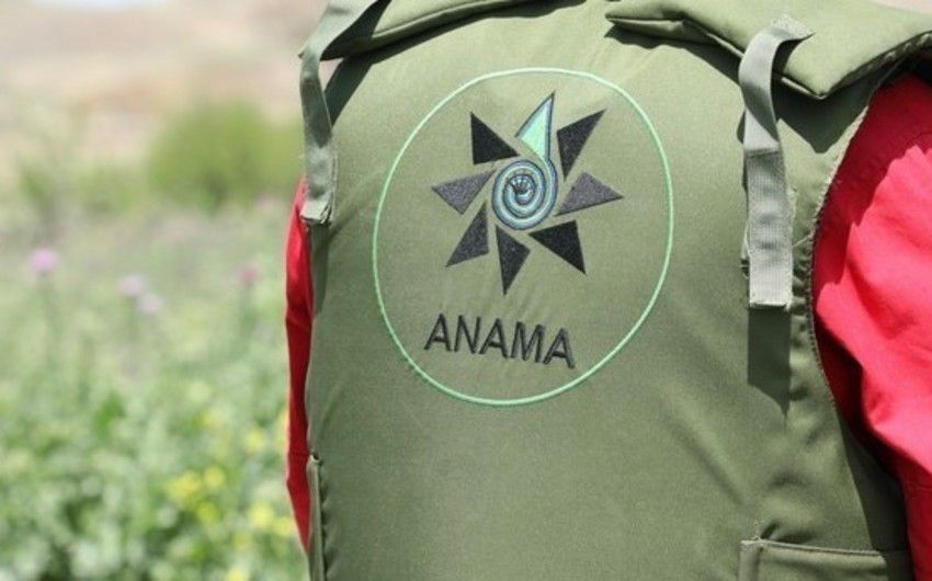 ANAMA: Over 1 million hectares yet polluted with mine