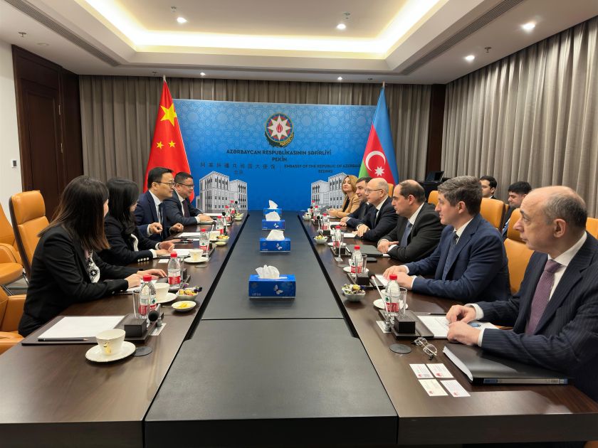 Azerbaijan explores green energy cooperation with Chinese companies [PHOTOS]