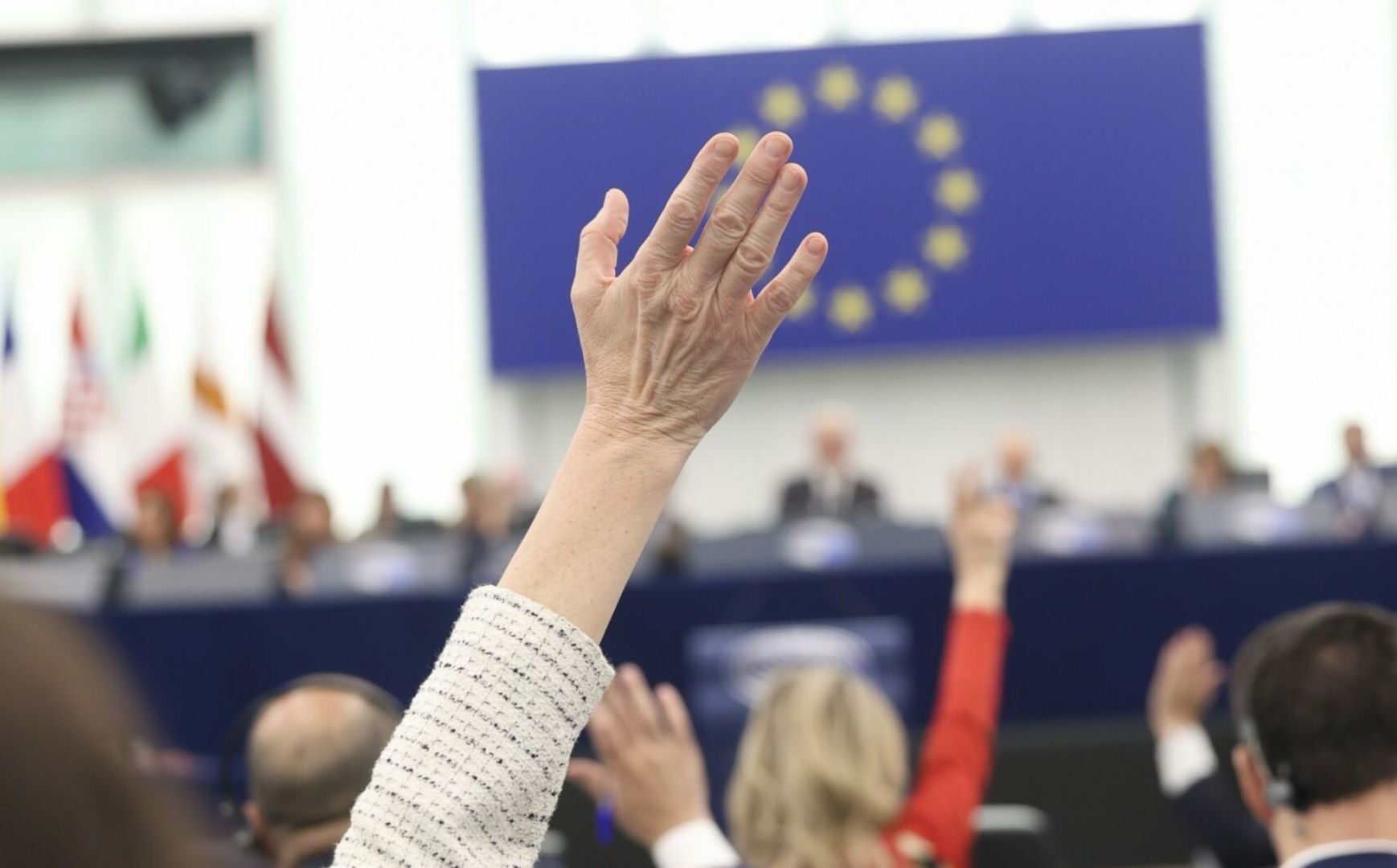 Pundit: Some MEPs spoil interstate relations by politicking as pro-Armenians