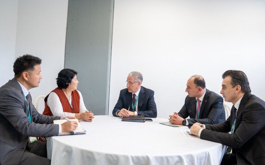 COP29 President engages with Kyrgyzstan’s environmental envoy on climate resilience [PHOTOS]