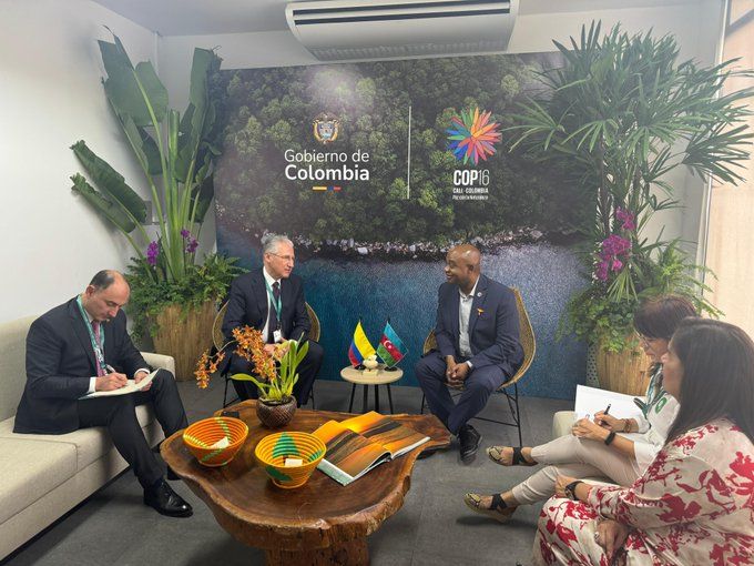 COP29 President Designate meets Colombian FM to discuss climate sustainability