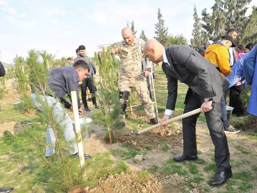 Tree-planting action continues as part of "Year of Solidarity for Green World" [PHOTOS]