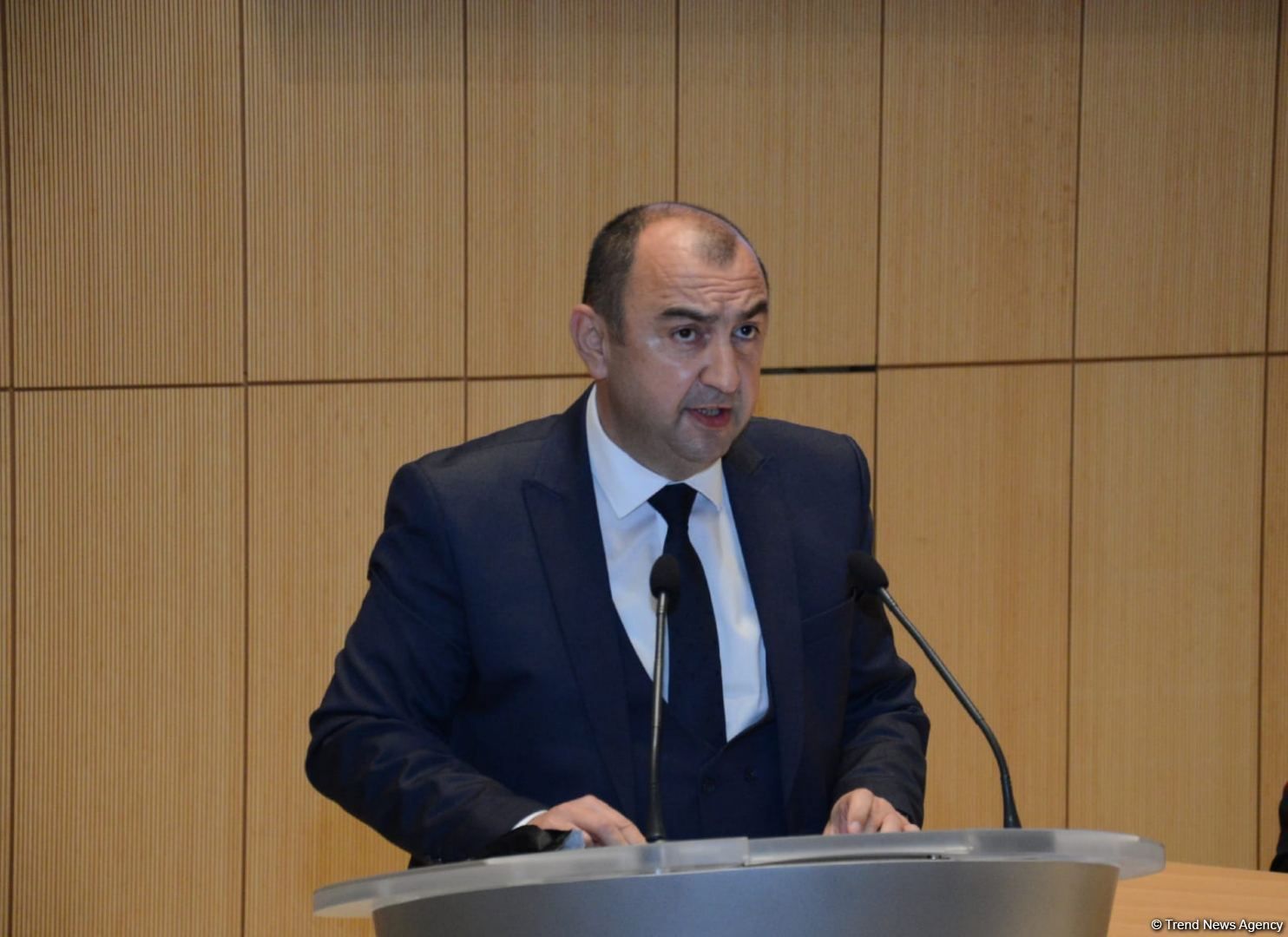 Azerbaijan among most vulnerable countries to climate change effects, Deputy Minister