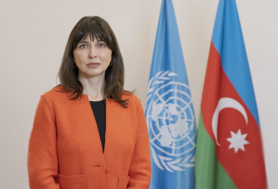 COP29 in Azerbaijan to serve as key platform for climate and SDGs: Andreeva