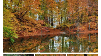 Experience charm of autumn season at Shahdag National Park