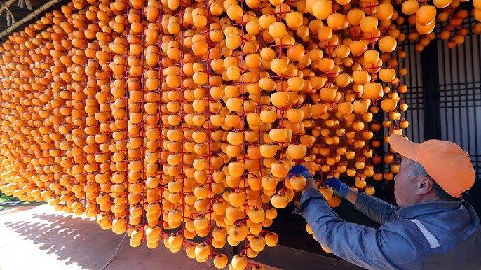 Azerbaijan's persimmon exports boost significantly in 2024