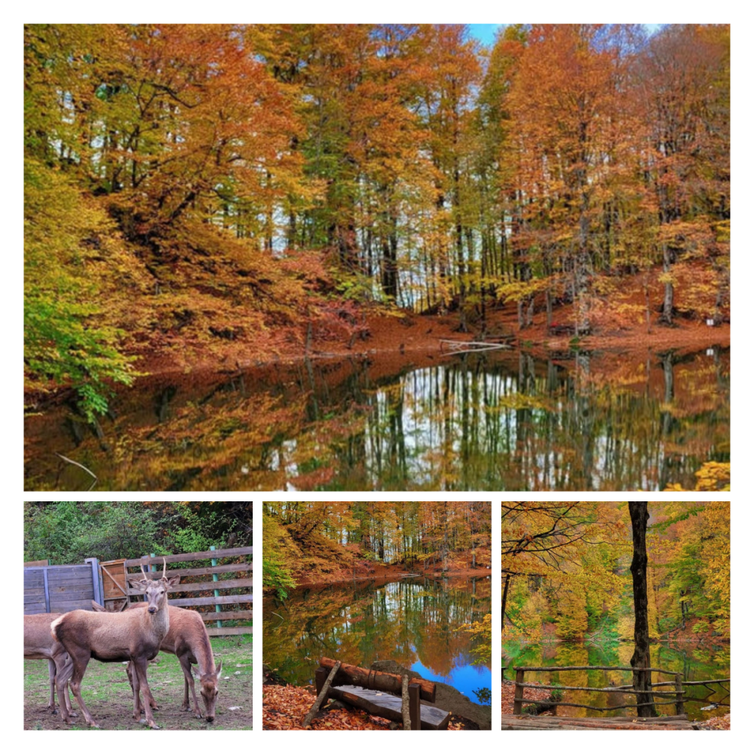 Experience charm of autumn season at Shahdag National Park