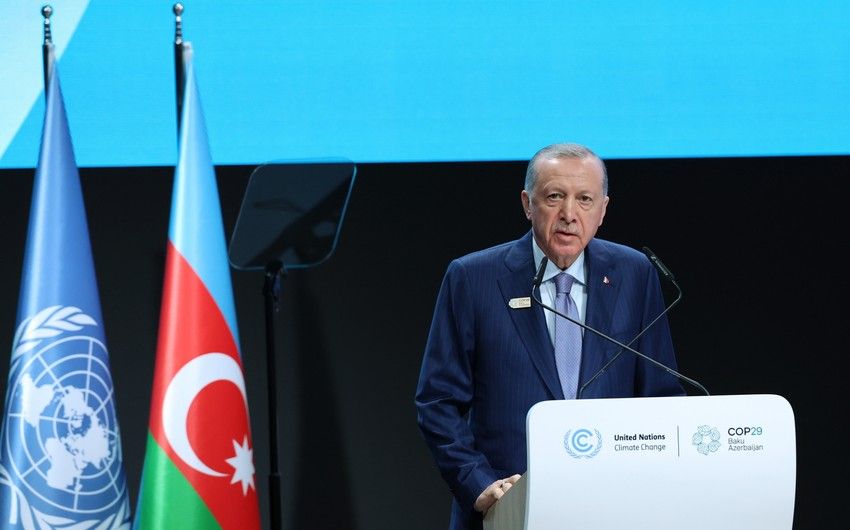 Turkiye's economic vision reflects on target to reach net zero emission by 2053