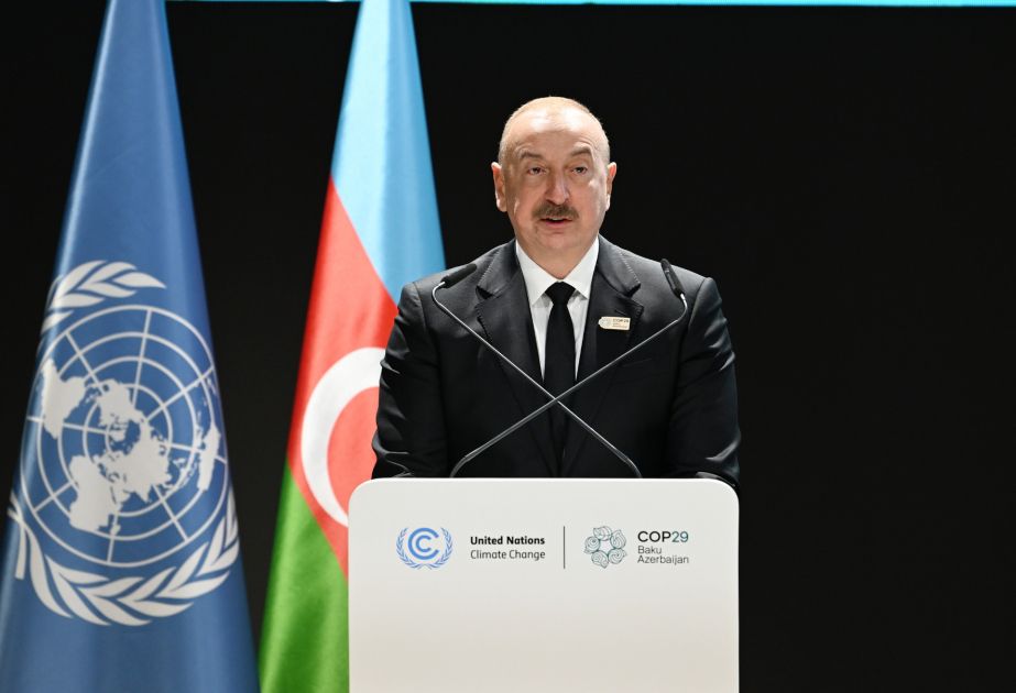 President: Azerbaijan is demonstrating its unwavering support for small island states