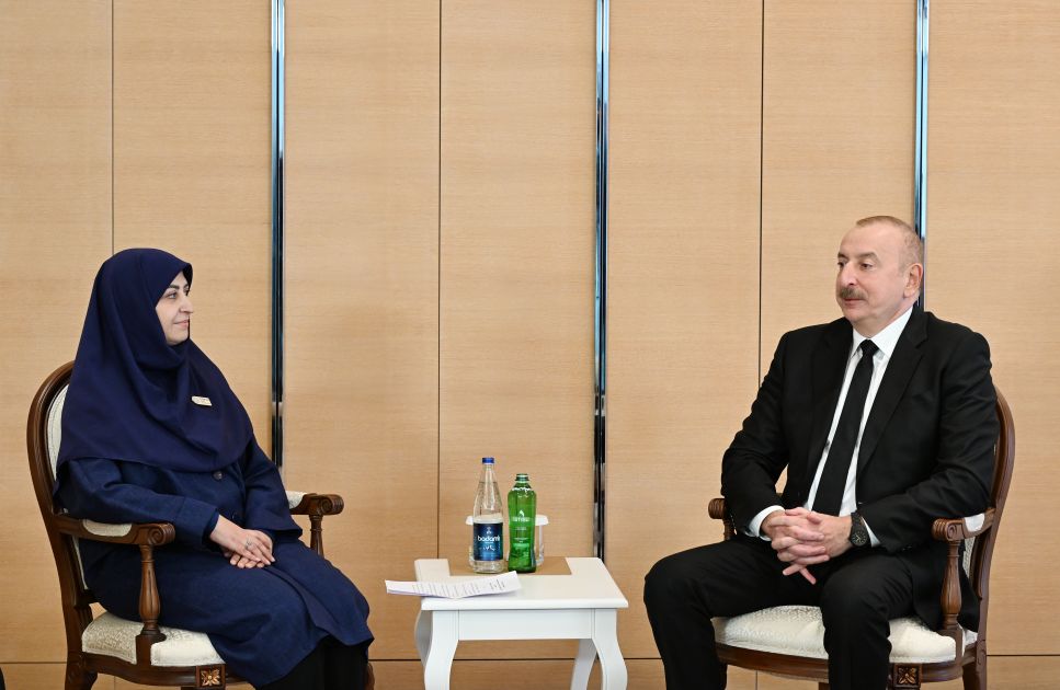 Azerbaijani President meets with Vice President of Iran [PHOTOS]