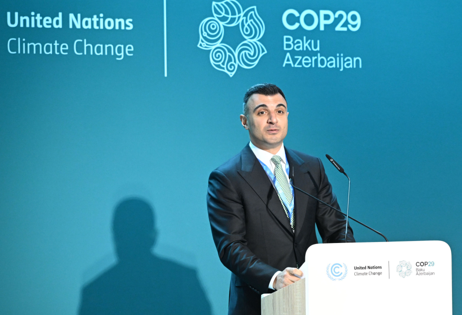 Azerbaijan advances green transition in financial sector at COP29, says CBA chairman