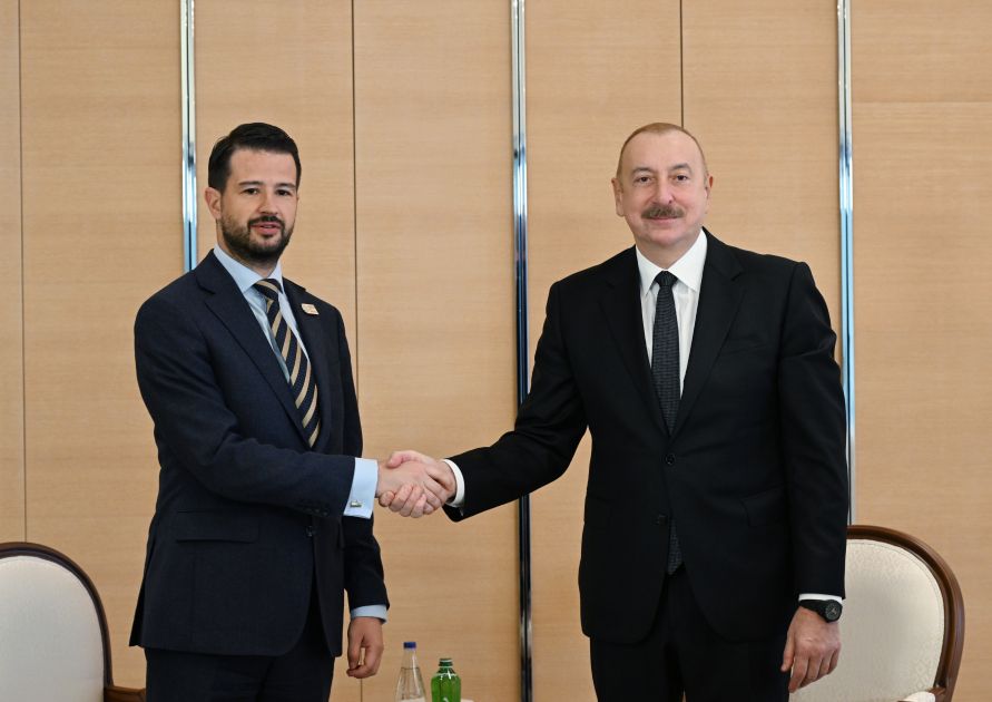 President Ilham Aliyev meets with President of Montenegro [PHOTOS/VIDEO]