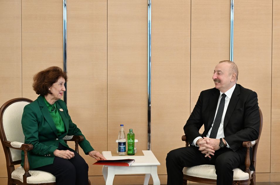 President of Azerbaijan Ilham Aliyev meets with President of North Macedonia [PHOTOS/VIDEO]