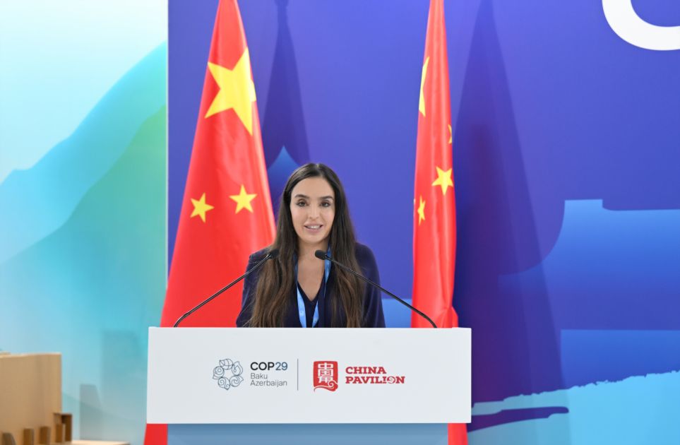 Vice-President of Heydar Aliyev Foundation participates in panel discussion at China pavilion [PHOTOS]