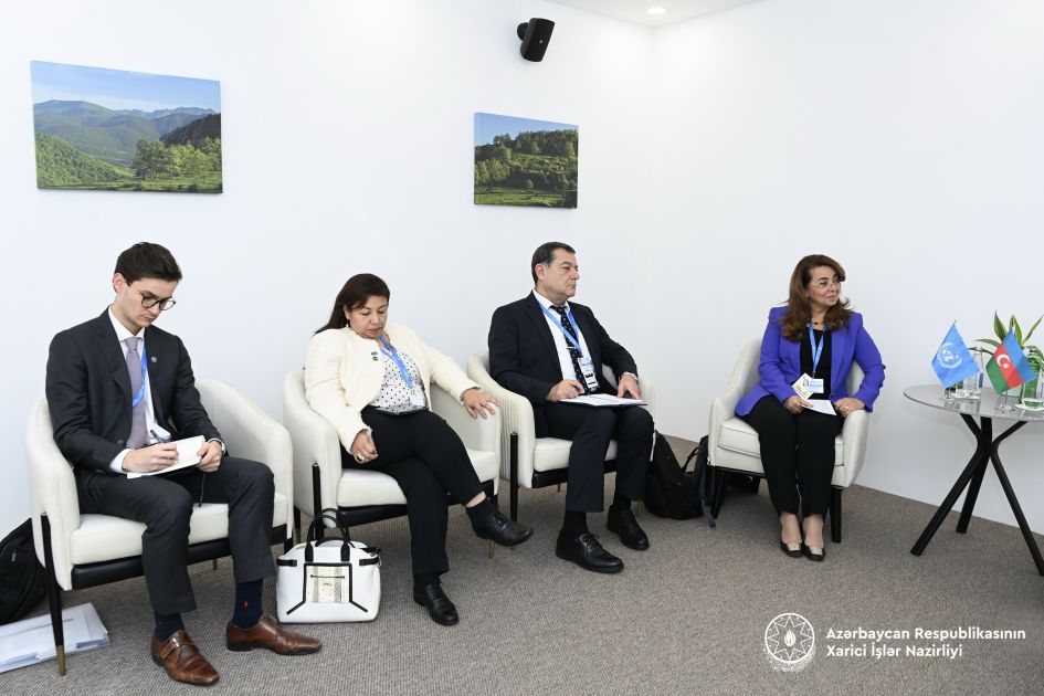 Azerbaijan, UN Office on Drug & Crime mull coop in combating transnational crime [PHOTOS]