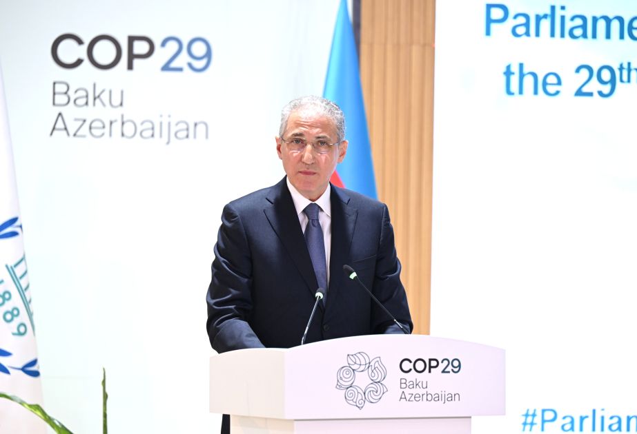 Mukhtar Babayev: Parliaments can play important role in solving climate change problems