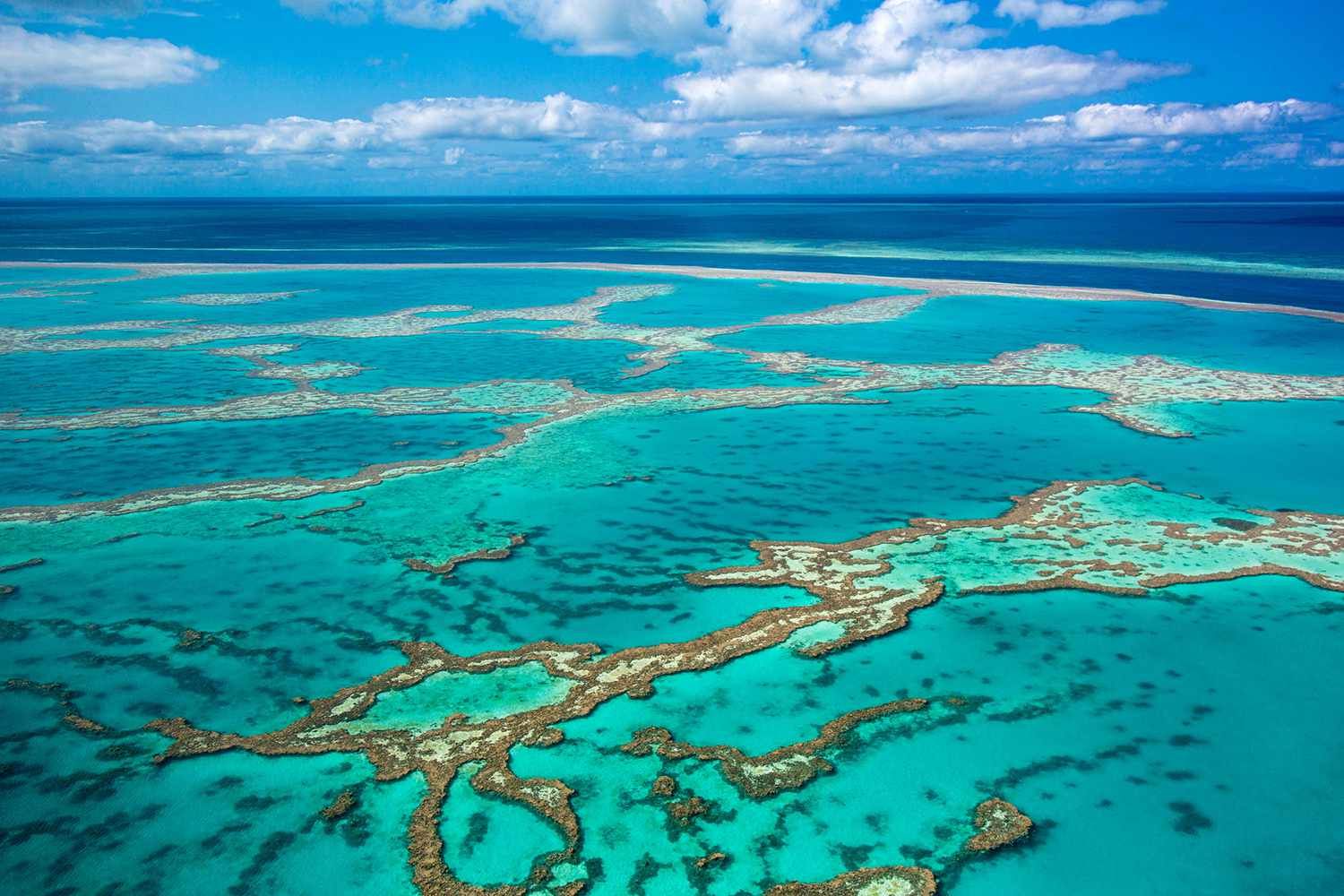 World's largest coral reef discovered in Pacific Ocean