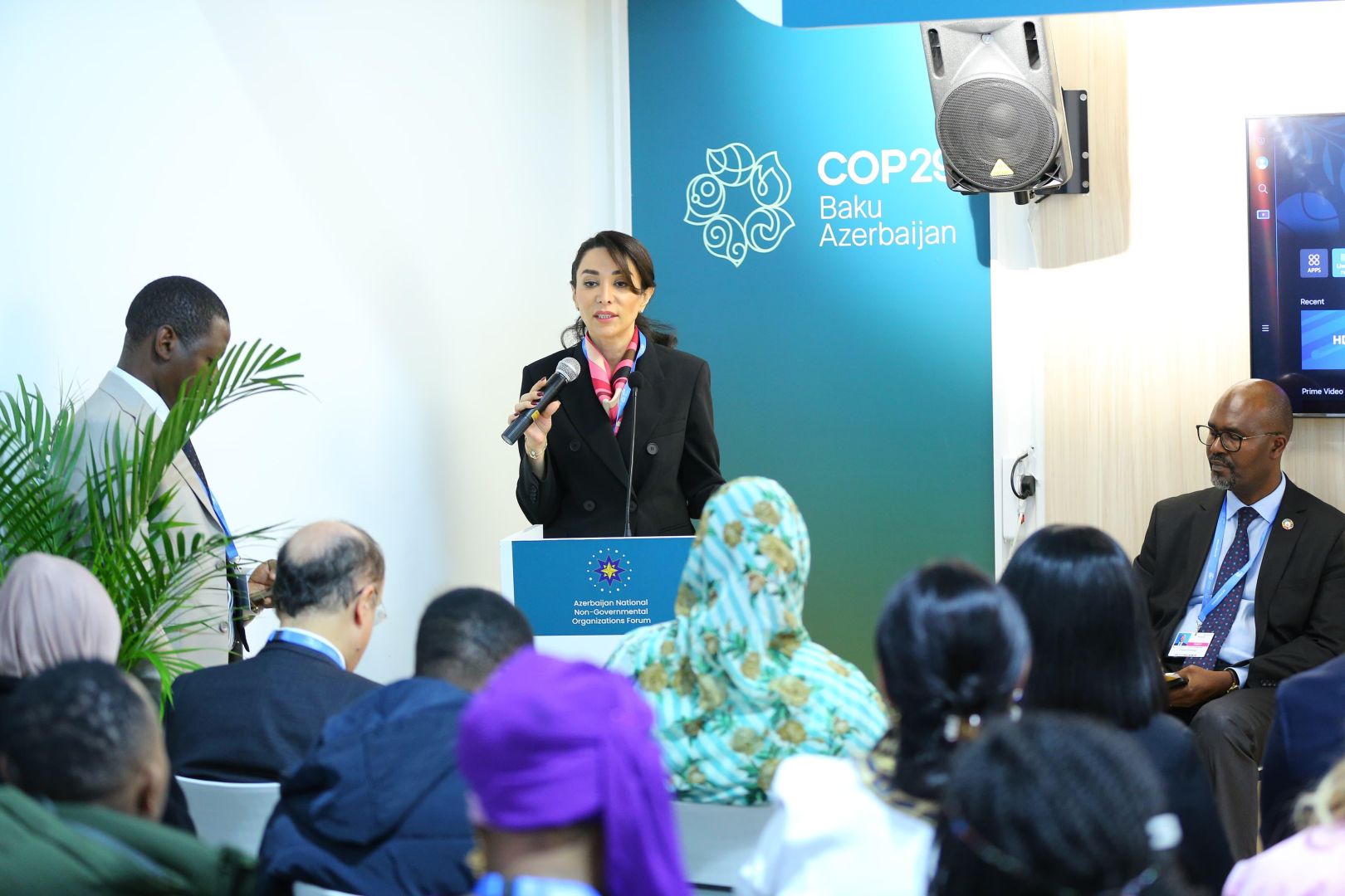 Azerbaijan's Ombudsman participates in COP29 side event on human rights and climate change [PHOTOS]