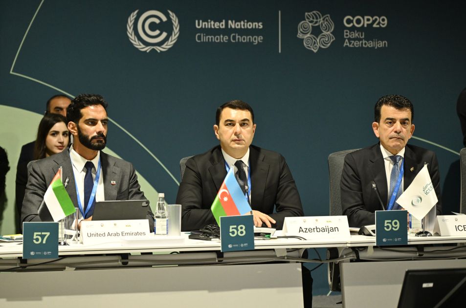 Baku hosts Second High-Level Meeting of Culture Ministers on Culture-Based Climate Action [PHOTOS]