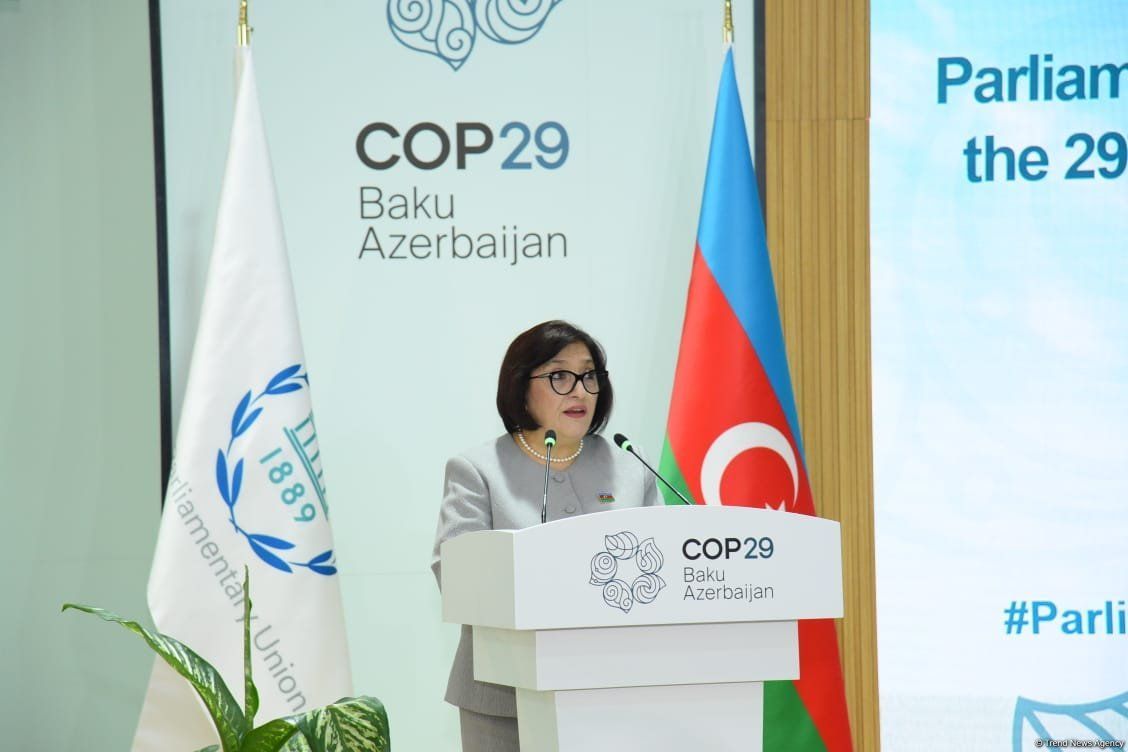 Azerbaijan shows confidence in its future path by creating green energy zones - Speaker