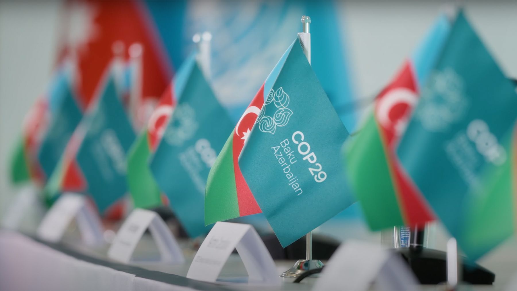 Kyrgyz company head considers COP29 conference great success for Azerbaijan