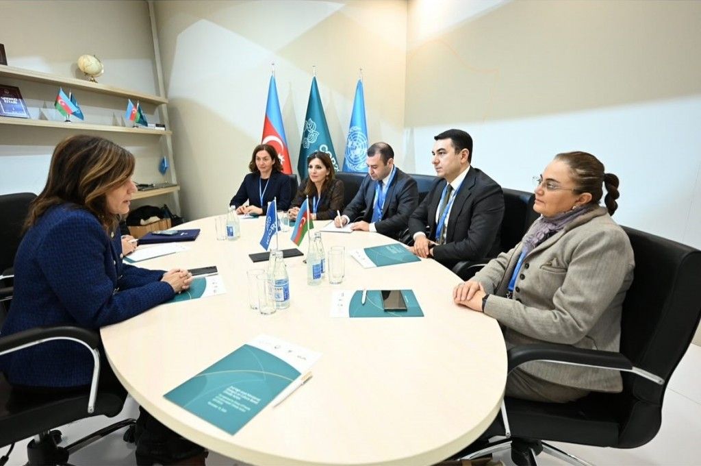 Azerbaijan, ICCROM discuss prospects of cooperation [PHOTOS]