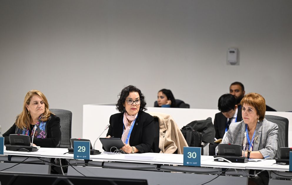 COP29 side event discusses role of science & innovation in achieving low-emission food systems [PHOTOS]