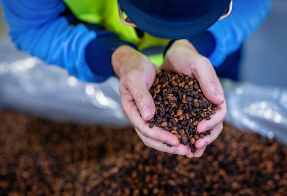 Global coffee exports increases this season