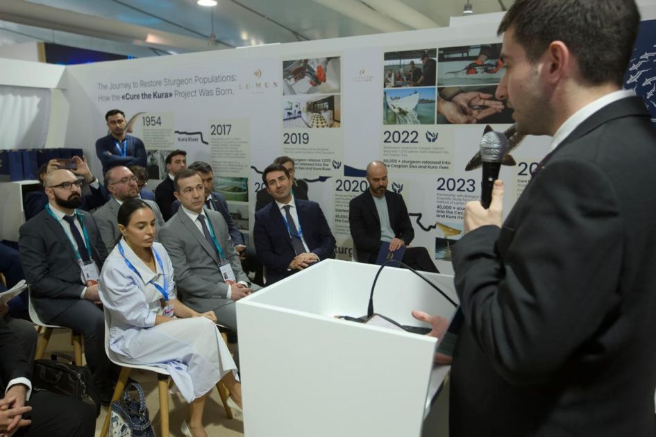 Leyla Aliyeva participates in juvenile fish release event at COP29 Green Zone [PHOTOS]