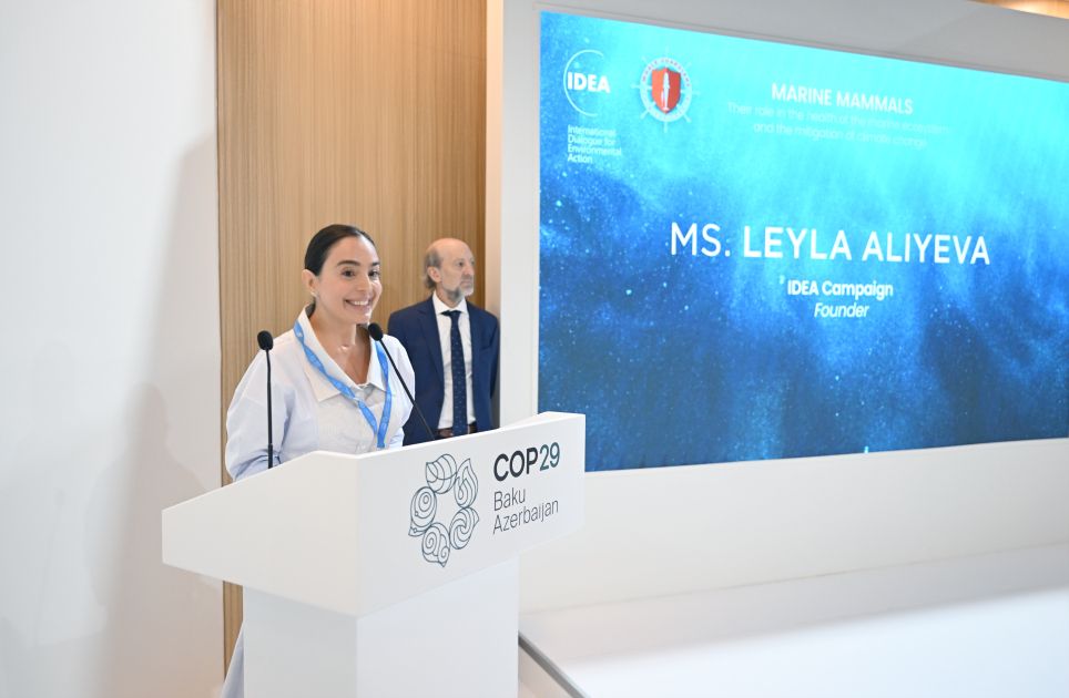 Leyla Aliyeva participates in panel discussions on marine life within COP29 [PHOTOS]