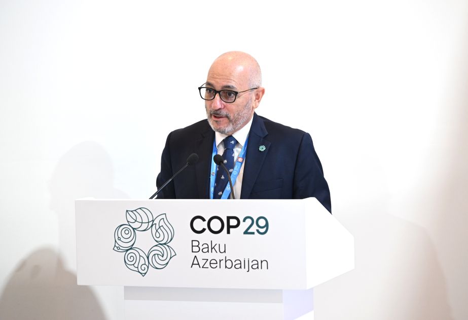 UNDP official highlights Azerbaijan's climate adaptation achievements at COP29