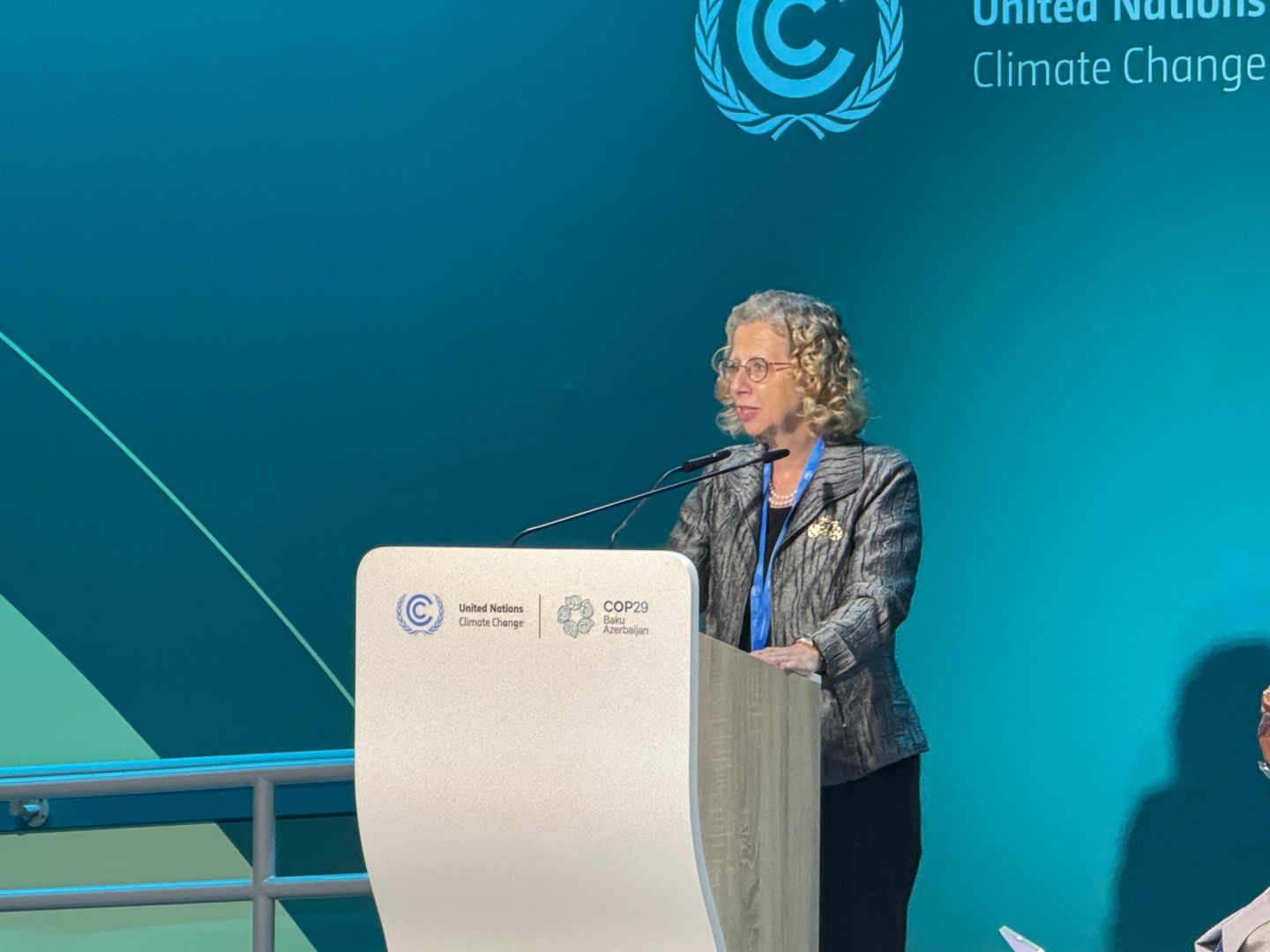 Carbon markets could unlock $30 billion annually, says UNEP's Inger Anderson