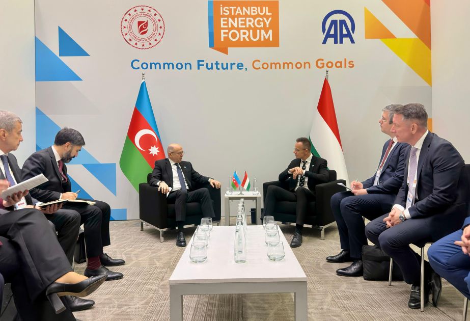 Azerbaijan-Hungary energy cooperation discussed in Turkiye