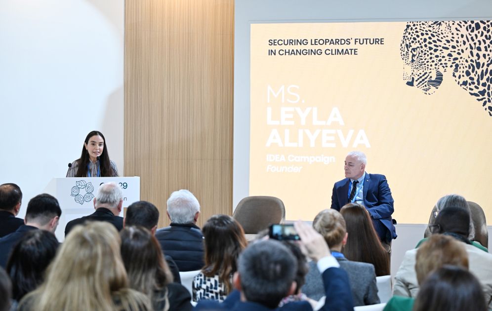 Leyla Aliyeva attends panel discussion on "Protection of Leopards in Changing Climate Conditions" held within COP29 [PHOTOS]