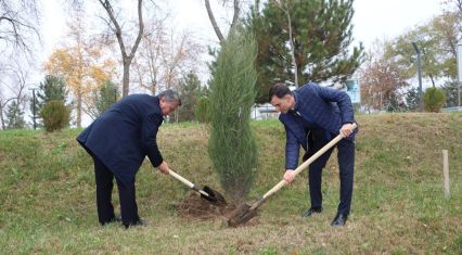 Azerbaijani Cultural Center in Tashkent participates in tree-planting campaign in support of COP29 [PHOTOS]