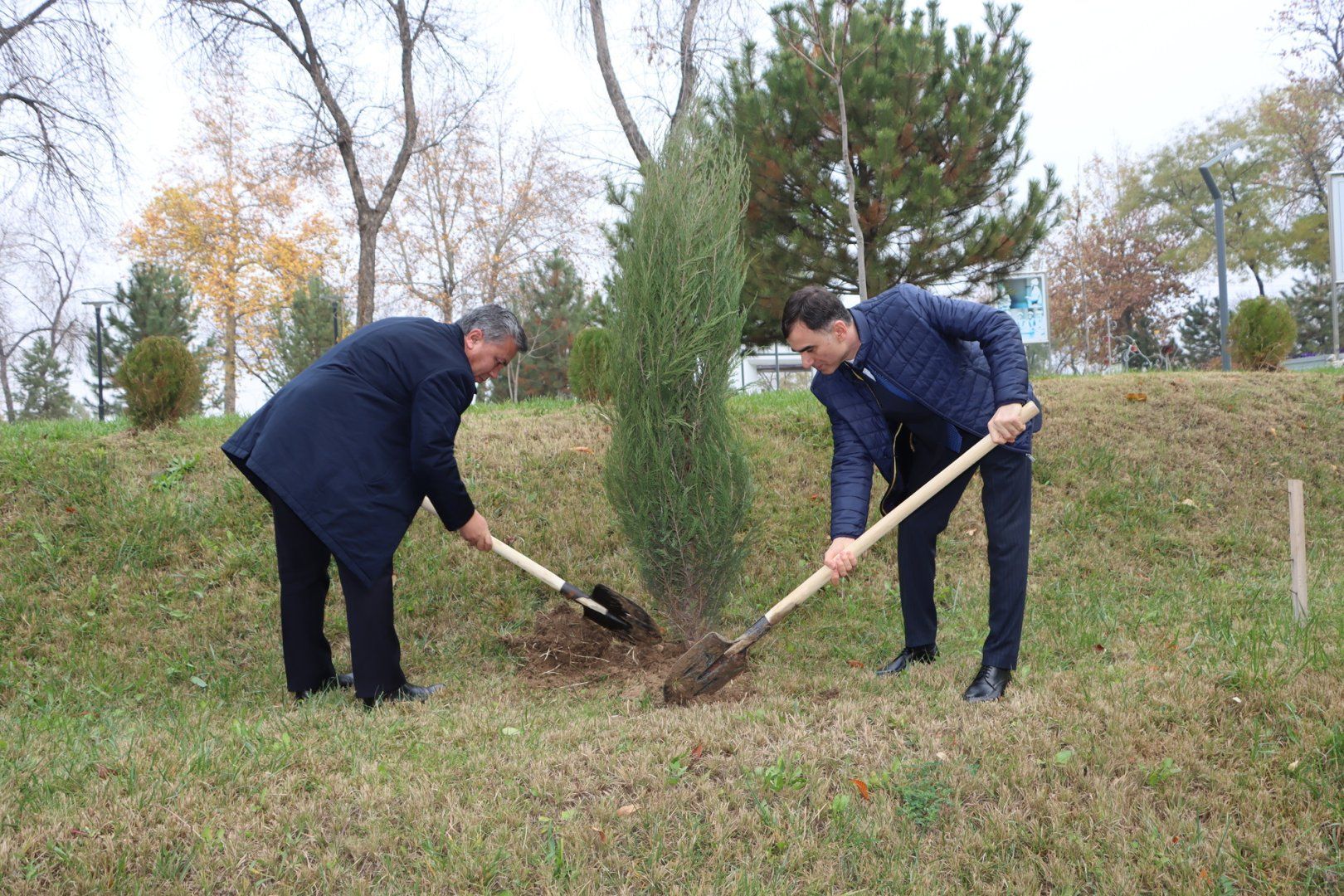 Azerbaijani Cultural Center in Tashkent participates in tree-planting campaign in support of COP29 [PHOTOS]