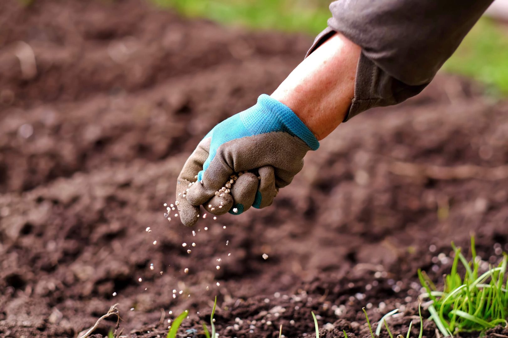 Azerbaijan exports nitrogen fertilizer worth $36 million in past two months